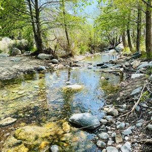 Meet your Posher, Nazle